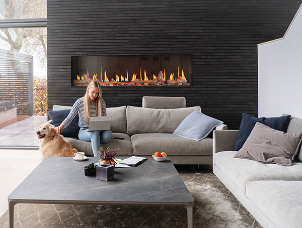 The Napoleon Luminex Built-In Electric Fireplace